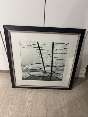 Framed Water Lily Art Print in Black and White